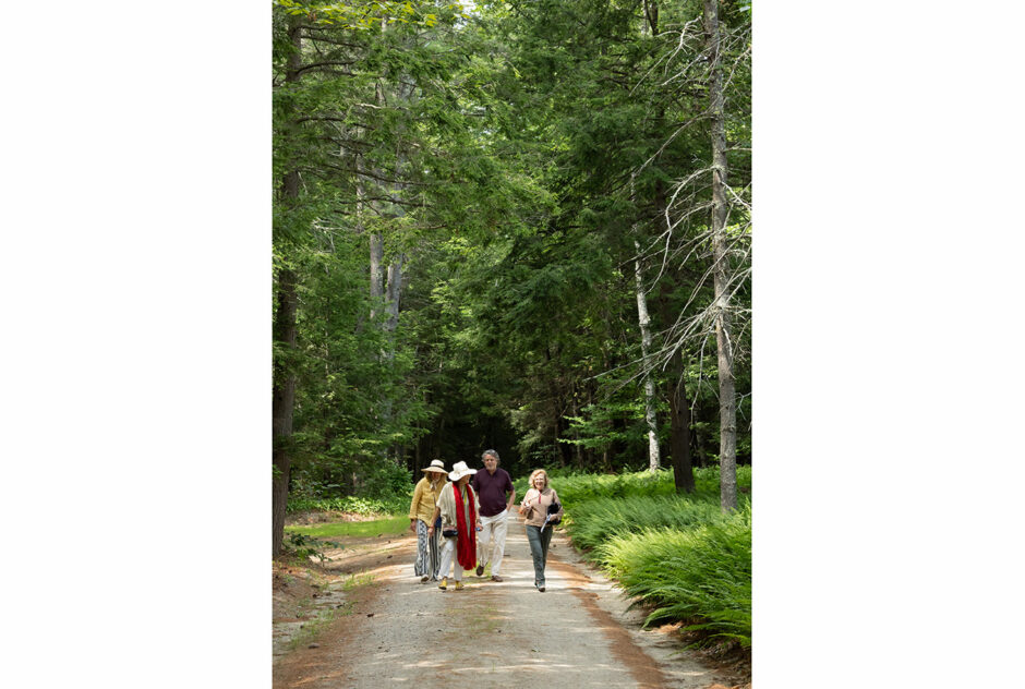 Four people make their way down a dirt road surrounded by deep forest