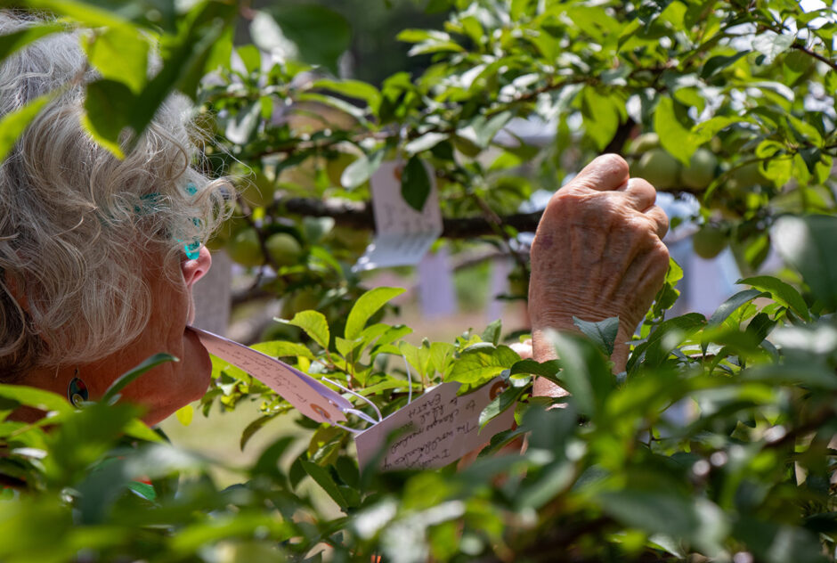 A woman attaches a small white tag, on which she has written a wish, to a peach tree.