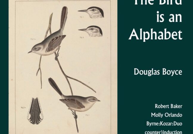 'The Bird is an Alphabet' Album Release