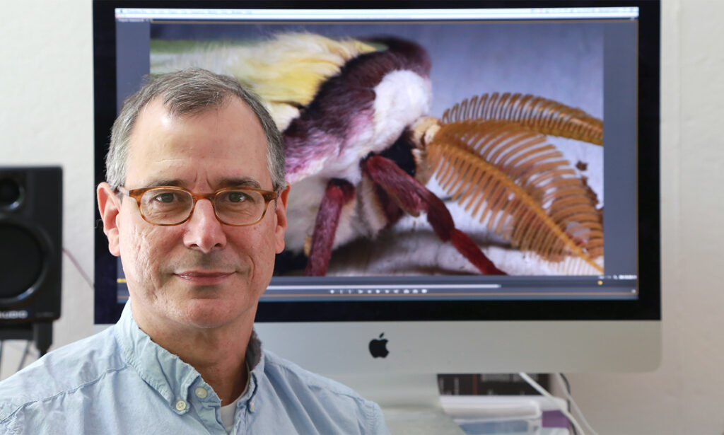 A man with graying hair and wearing toroise-shell glasses and a light blue shirt is pictured with a vieo monitor in the background displaying a closeup of a colorful moth head and thorax.