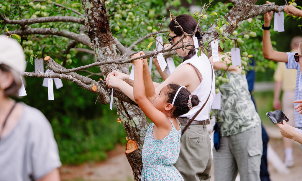 Friends and family gather under the branches in an orchard, tying their wishes to the branches