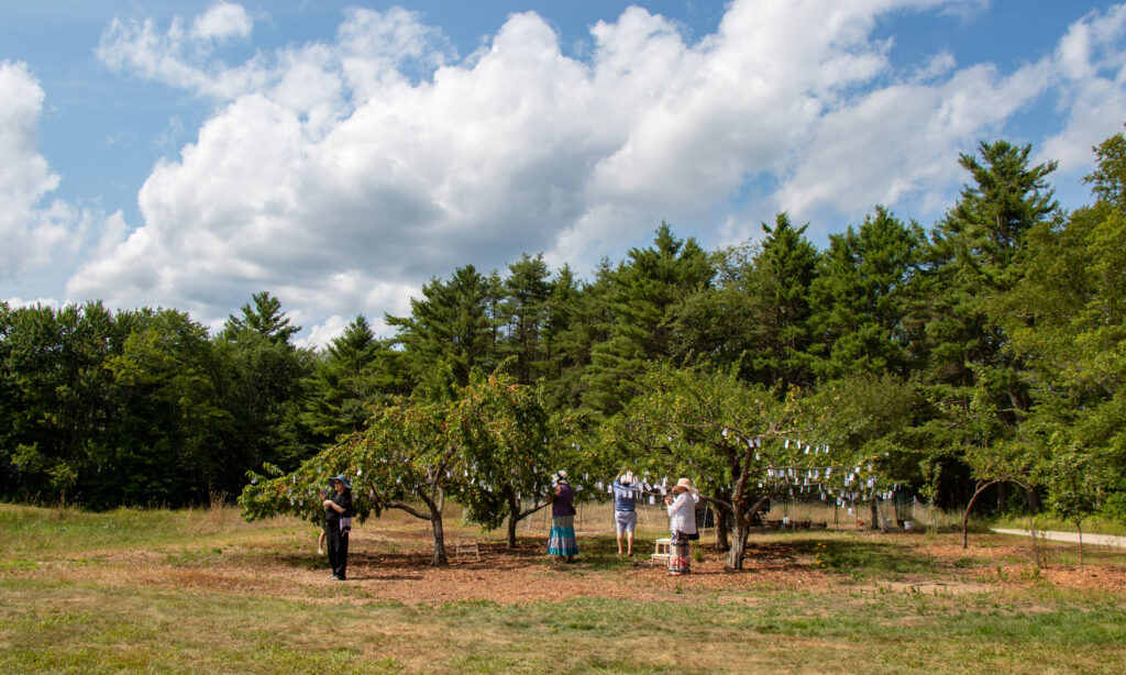 From a distance, three people are seen standing under a small orchard. The day is warm, sunny, and white clouds float across the skies