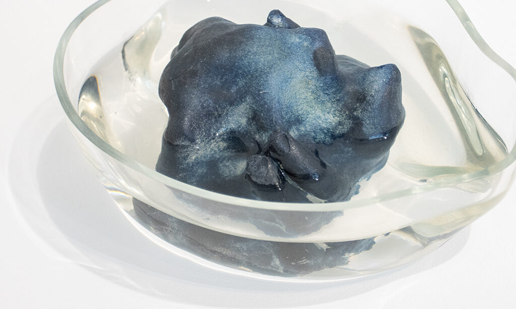 A black, gray, and navy sculpture in a glass bowl full of water