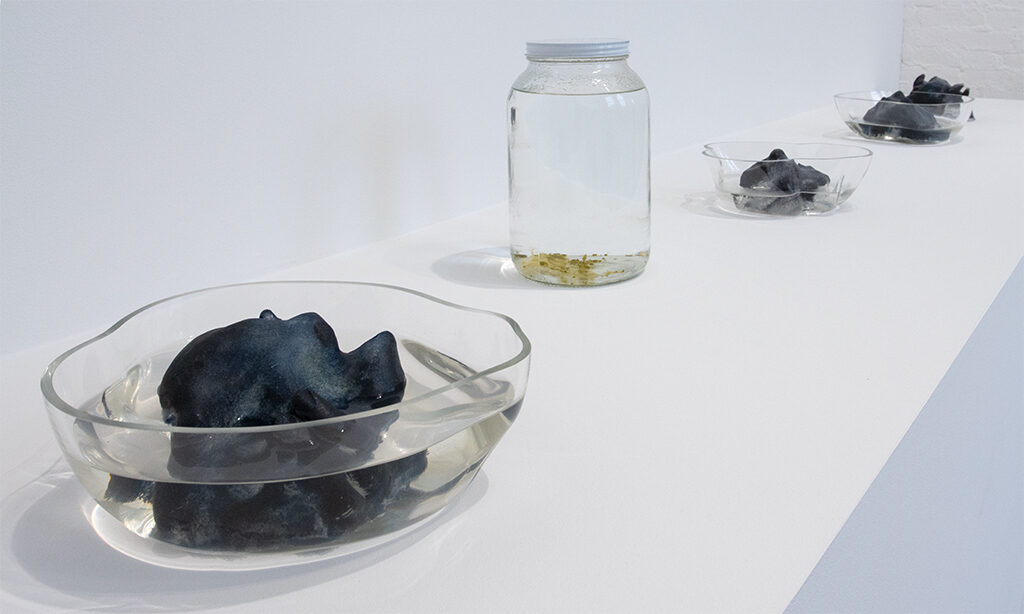 several black, gray, and navy sculptures in glass bowls full of water
